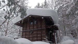 平湯の森、平湯温泉スキー場、