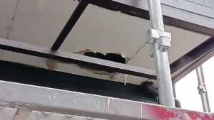 中津川市です。ベランダの軒天井に大きな穴が開いています。
このサイディングボードを撤去して張り替えます。