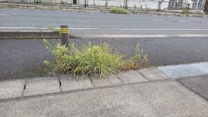 日成ホーム恵那店の駐車場に除草剤を巻きます、